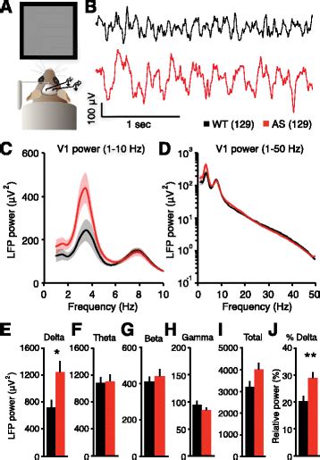 Delta Rhythmicity Is A Reliable Eeg Biomarker In Angelman Syndrome A