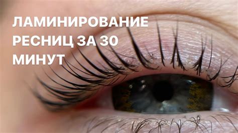 ЛАМИ РЕСНИЦ ЗА 30 МИНУТ - YouTube
