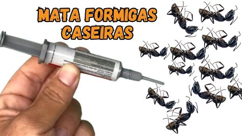 Como Acabar Com Formigas Dentro De Casa Veneno Para Formiga Youtube