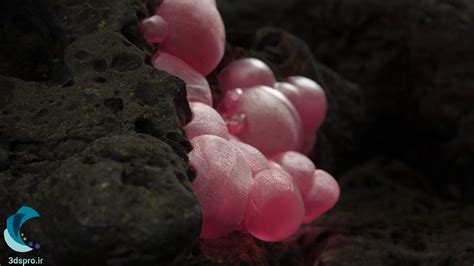 دانلود پلاگین Solid Angle Arnold C4dtoa 2312 برای Cinema 4d