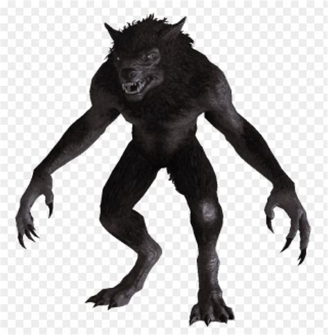 Werewolf From Skyrim Png Transparent With Clear Background Id