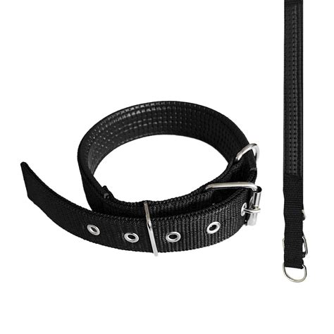 Collar Cm Perros Acolchado C Modo Ajustable Suave Color Negro Iupi