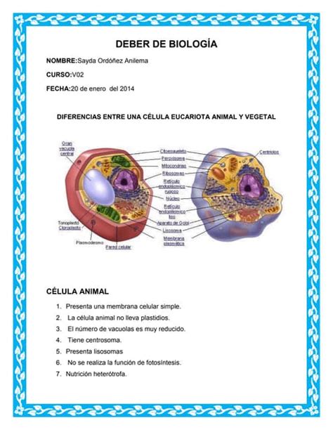 Diferencias entre celula animal y vegetal | PDF