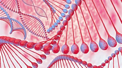 Nucleic Acid Elements and Monomer | Biology Dictionary