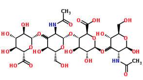 L Acide Hyaluronique Peu Efficace Pour Soigner Larthrose Du Genou