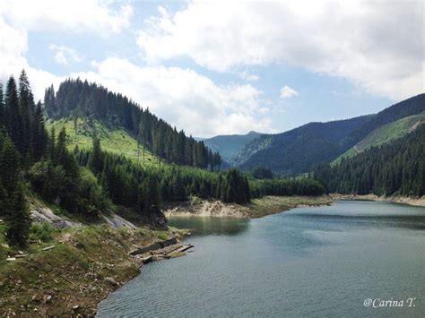 Oltenia Ne Mbl Nzit Ara Lovi Tei Ii