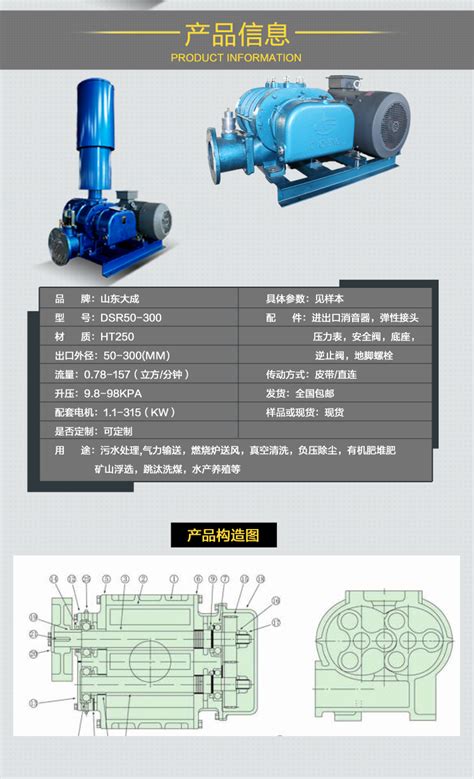 Dsr150罗茨风机 山东大成机械科技有限公司