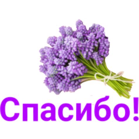 Доброта