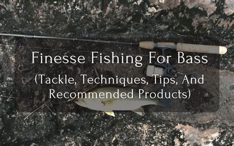 Bass Finesse Fishing Tackle Techniques Tips And Recommended