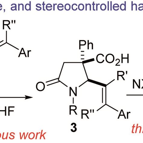 Proposed Plan For The Synthesis Of Fused γ Lactam Fused δ Lactones