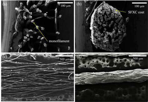 Sem Images Of Multifilament Repreve Yarn Cross Section Of The A