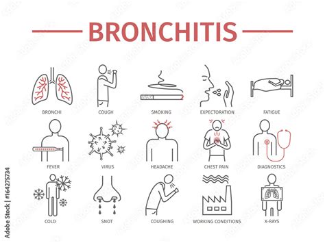 Bronchitis Symptoms Treatment Line Icons Set Vector Signs Stock