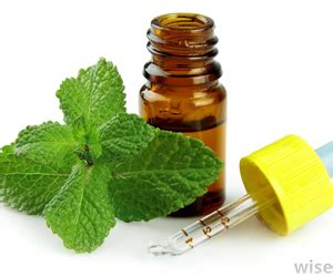 Top health benefits of Peppermint oil| HB times