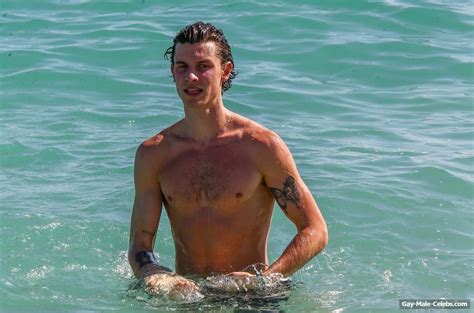 Shawn Mendes Looks Hot Shirtless On A Beach Gay Male Celebs