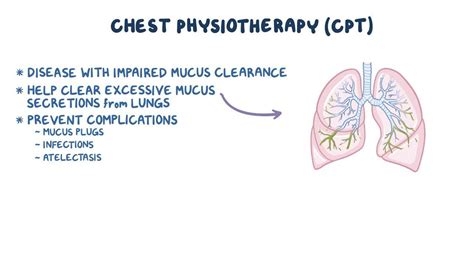 2024 Guide To Chest Physiotherapy Methods Purpose And Managing Bronchiolosis Dear Adam Smith