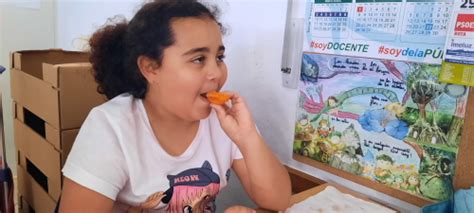 Plan Escolar De Consumo De Frutas Y Hortalizas Tercero De Primaria