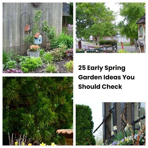 Early Spring Garden Ideas You Should Check Sharonsable