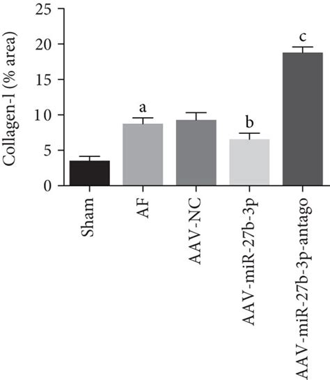 Effects Of Mir B P Overexpression On Atrial Fibrosis N For Each