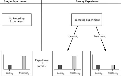 Illustration Of Inference Bias Later Experiment Altered By Earlier