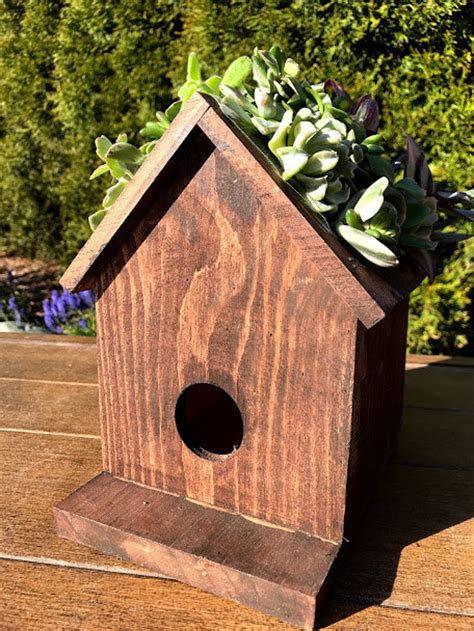 Succulent Birdhouse Planter Green Roof Bird House Rustic Etsy