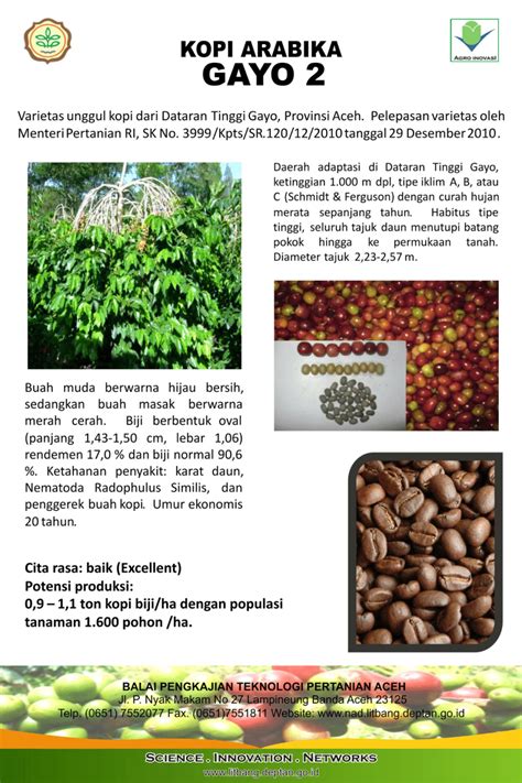 (PDF) Kopi Arabika Gayo