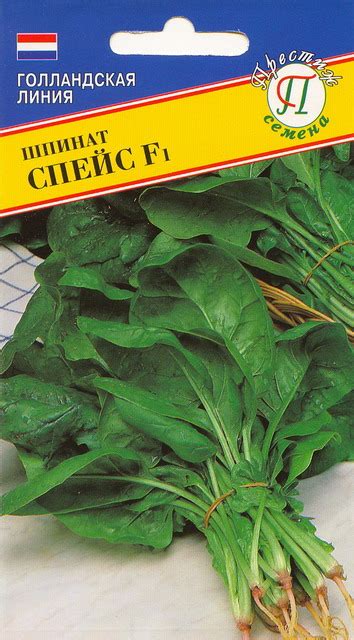 Шпинат Спейс 2г (Голландия)