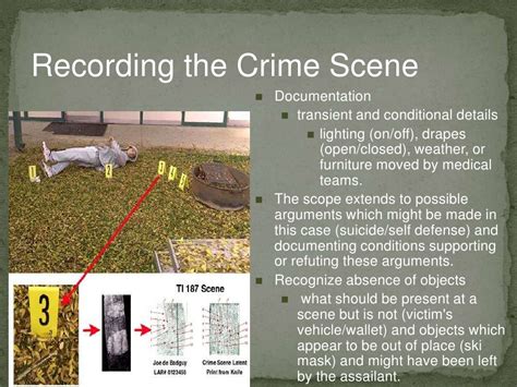 Crime Scenes Presentation