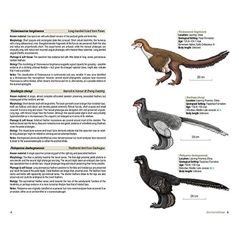 Snapklik Birds Of The Mesozoic An Illustrated Field Guide