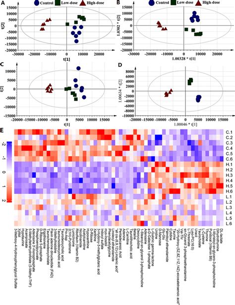 Metabolomic Multivariate Analysis A B Score Plots Of Pca And