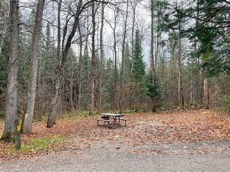 Raccoon Lake Campground, Site #129 in Algonquin Park