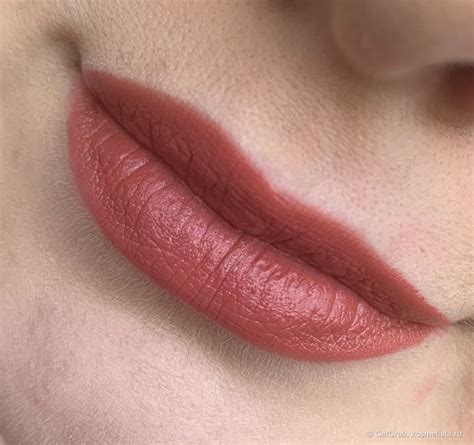 Stellary Nude Lips Long Lasting Lipstick в оттенке 22 tropical nude
