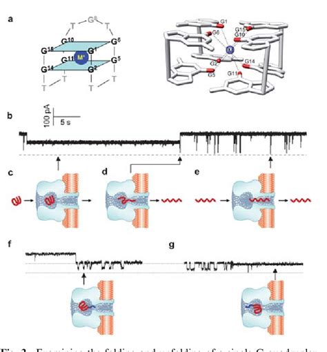 Figure From Single Molecule Sensing By Nanopores And Nanopore Devices