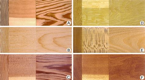 Softwood Timber Britannica