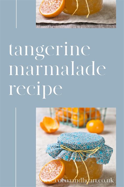 Tangerine Marmalade Recipe Step By Step Easy Recipe To Make Yum