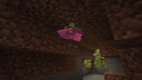 【マイクラjava版統合版スイッチ】バージョン117の新要素「lush Caves」緑豊かな洞窟まとめ【minecraft】 攻略大百科