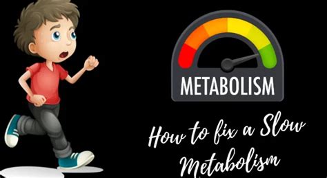 How To Fix A Slow Metabolism 5 Incredible Ways To Know