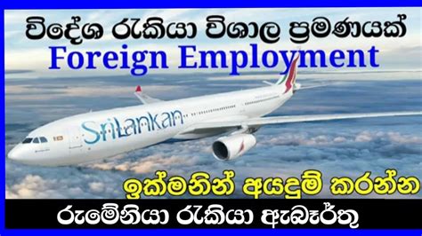 වදශ රකය ඇබරත රමනය රකය ඇබරත Romania job vacancies