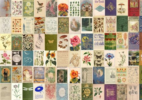 150 Pcs Botanical Wall Collage Kit Vintage Wall Collage Etsy