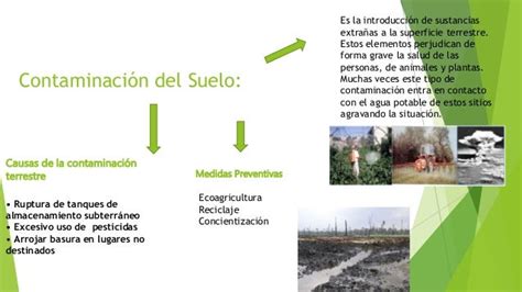 Mapa Mental Contaminación Del Suelo Y Sónica