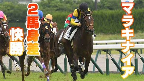 【2歳馬能力診断】マラキナイアが2馬身差の快勝！丹下日出夫 競馬予想動画