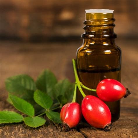 Масло шиповника рафинированное купить в интернет-магазине cacaogold
