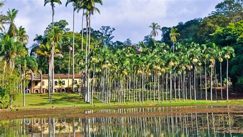 De Rio Claro A Campinas Viagem Repleta De Atrativos Tur Sticos