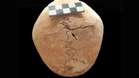 Medieval warrior woman was buried alongside 23 Spanish…