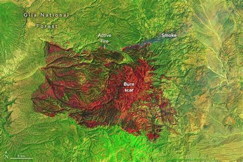 Black Fire Blows Up In New Mexico Produces Pyrocumulonimbus Cloud And Crosses Continental Divide