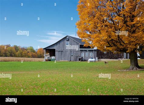 Rural Michigan At Its Beautiful Best In The Fall Stock Photo Alamy