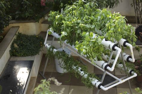 We Design Effective And Accessible Systems In Hydroponics And Urban