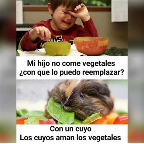 Mi Hijo No Come Vegetales Con Que Lo Puedo Reemplazar Con Un Cuyo