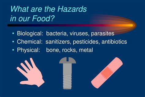 PPT - Module 1: Understanding Hazards Associated with Foods PowerPoint Presentation - ID:3017579