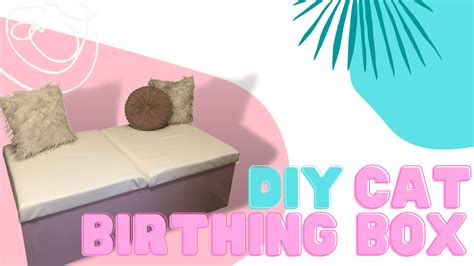 Cat Birthing Box DIY – Cat Breeder Sensei