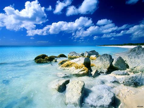 Bakgrund Strand Natur Hav Topp Gratis Bakgrunder